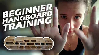 Beginner hangboard training
