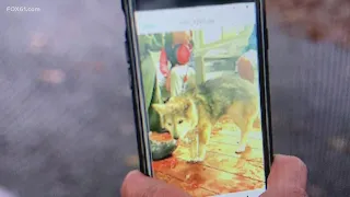 PD: Fairfield Animal Control kills dog they thought was a coyote