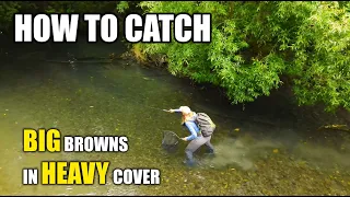 How to Catch BIG BROWN TROUT in Heavy Cover - Cycling & Searching Brown Trout Fly Fishing