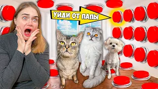 КОТЫ УПРАВЛЯЮТ МОИМ ДНЁМ С ПОМОЩЬЮ КНОПОК 24 ЧАСА