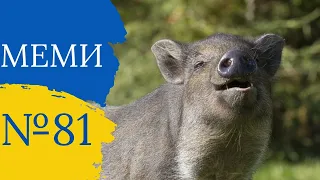 Прикольні приколи №81 | Найкращі відео з тік ток