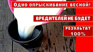 ВРЕДИТЕЛЕЙ НЕ БУДЕТ НА  ДЕВЕВЬЯХ И КУСТАРНИКАХ!ОДНО ОПРЫСКИВАНИЕ ВЕСНОЙ! ОБРАБОТКА САДА ОТ НАСЕКОМЫХ