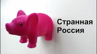 Путин и Тимати | Политиканус (Странная Россия)