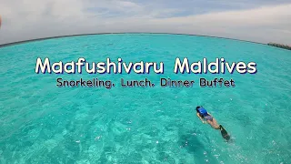 Maafushivaru Maldives #3 Snorkeling, Lunch, Dinner Buffet, Water Pool Villa