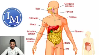 Embriología | Clase 1 | Planos Anatómicos