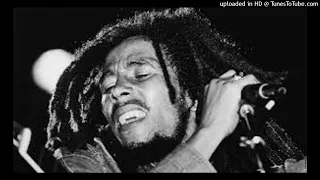 Bob Marley - Exodus - Instrumental