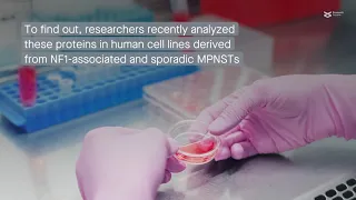 R-Ras proteins exhibit distinct functions in neurofibromin-lacking nerve sheath tumor cells