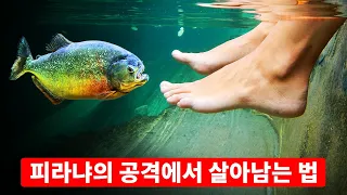 피라냐가 여러분을 에워쌀 때 탈출할 수 있는 유일한 방법