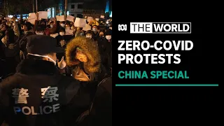 Protests erupt across China over zero-covid policy | The World