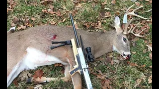 Buck down! (with homemade gun)