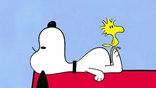 Snoopy and Woodstock - Compilation 5