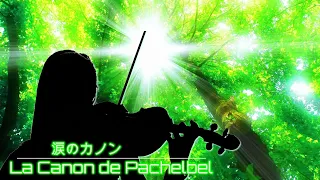 Raymond Lefèvre _ 涙のカノン _ La Canon de Pachelbel _ レイモン・ルフェーヴル