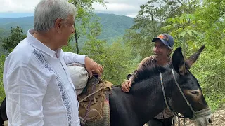 Habrá apoyo para el ganadero Don Cresencio