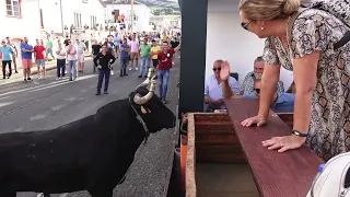 Ganadaria RB - Festas Fonte Do Bastardo 2022 - Ilha Terceira - Açores - Portugal