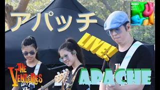 Apache ベンチャーズ アパッチ [Nokie Edwards] Ventures live (cover) young guitarist Mina Pang #千齡 #minapang