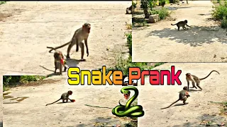 🤙Snake Prank In My Village Monkeys|Funny Prank|HM PRANKS #hmpranks