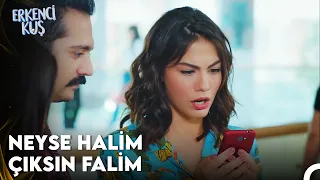 Fala İnanma Falsız Da Kalma - Erkenci Kuş