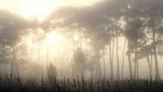 Loreena McKennitt - Ancient Pines