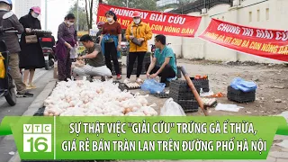 Sự thật việc "giải cứu" trứng gà Ế THỪA, giá rẻ bán tràn lan trên đường phố Hà Nội | VTC16