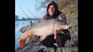 Karpfenangeln am Wallerfluss/brutale Fangeserie