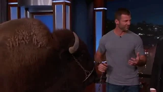 Wild Animals with Dave Salmoni & Andy Samberg30