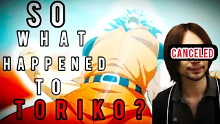 What Actually Happened To Toriko???!