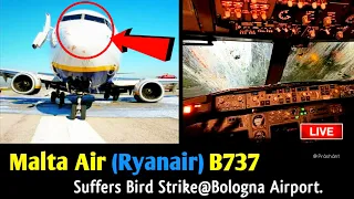 ✅Malta Air (Ryanair) Boeing 737✈ Suffers Severe Birds Strike During Approach |  Bologna Airport