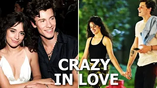 Camila Cabello Shawn Mendes IN LOVE Moments