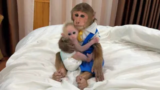 This Is How Cutis Loves Baby Monkey Mynu ?