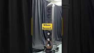 Wilson Benesch Loudspeakers & Ypsilon #audiophile #highendaudio #hifi