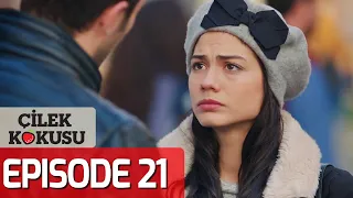 Strawberry Smell - Full Episode 21 (English Subtitles) | Cilek Kokusu