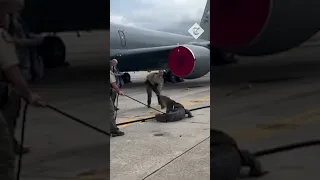 Ten foot alligator caught on runway at MacDill Air Force Base