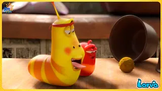 LARVA SEASON 4 EPISODE 183: UNEXPECTED GIFT | CARTOON NEW VERSION | FUNNY CLIP 20245