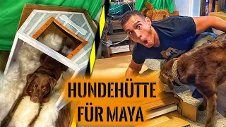 HUNDEHÜTTE für MAYA aufbauen geht SCHIEF 😒 Hütte überlebt nur knapp.. | Survival Mattin