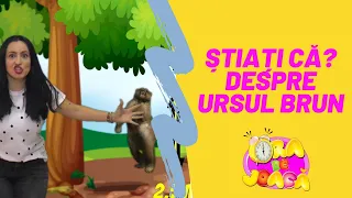 Am fost urmărită de urs , în pădure ! #6 Știați că? - Despre Ursul brun - pentru copii