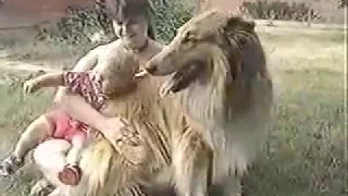 Rescue 911 -  Lassie saves baby