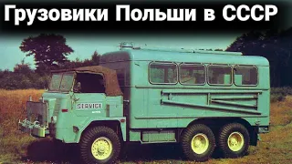Какие были грузовики Польши в СССР.
