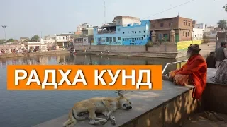 Индия. По святым местам Вриндавана! Радха Кунд и Говардхан!