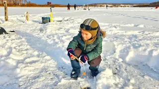 ОН ВСЕХ ОБЛОВИЛ! МУЖИКИ В ШОКЕ! Рыбалка на  страшную рыбу в начале года