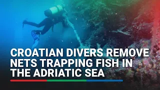 Croatian divers remove nets trapping fish in the Adriatic Sea