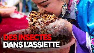 Eating insects, a solution to fight world hunger - Full documentary - AMP