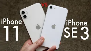iPhone SE 3 Vs iPhone 11! (Quick Comparison)