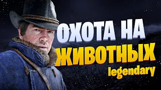 Все легендарные животные в Red Dead Redemption 2. Где найти, как убить и что получить из шкур РДР2.