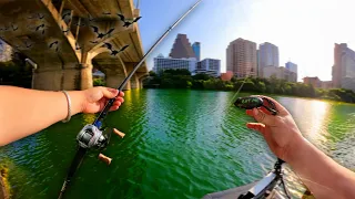 Catching Big BAT Eating Bass In Downtown Austin Texas