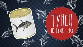 Тунец из банок - яд? Малозёмов проверит!