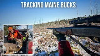 250+ Pound Maine Buck | Maine Deer Season 2023