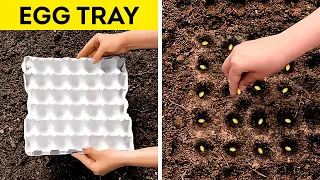 AMAZING GARDENING HACKS TO SAVE TIME AND MONEY 🌳