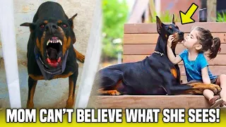 Family Adopted a Doberman. But After 5 Days, Parents Hear A Terrifying Scream
