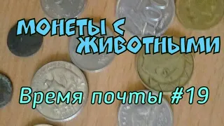 Монеты с Животными и солиды Яна Казимира