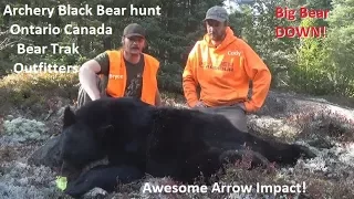 Tagged Bear Arrowed in Canada by Bryce Hubbell of Bear Trak Outfitters Perfect Rage Shot